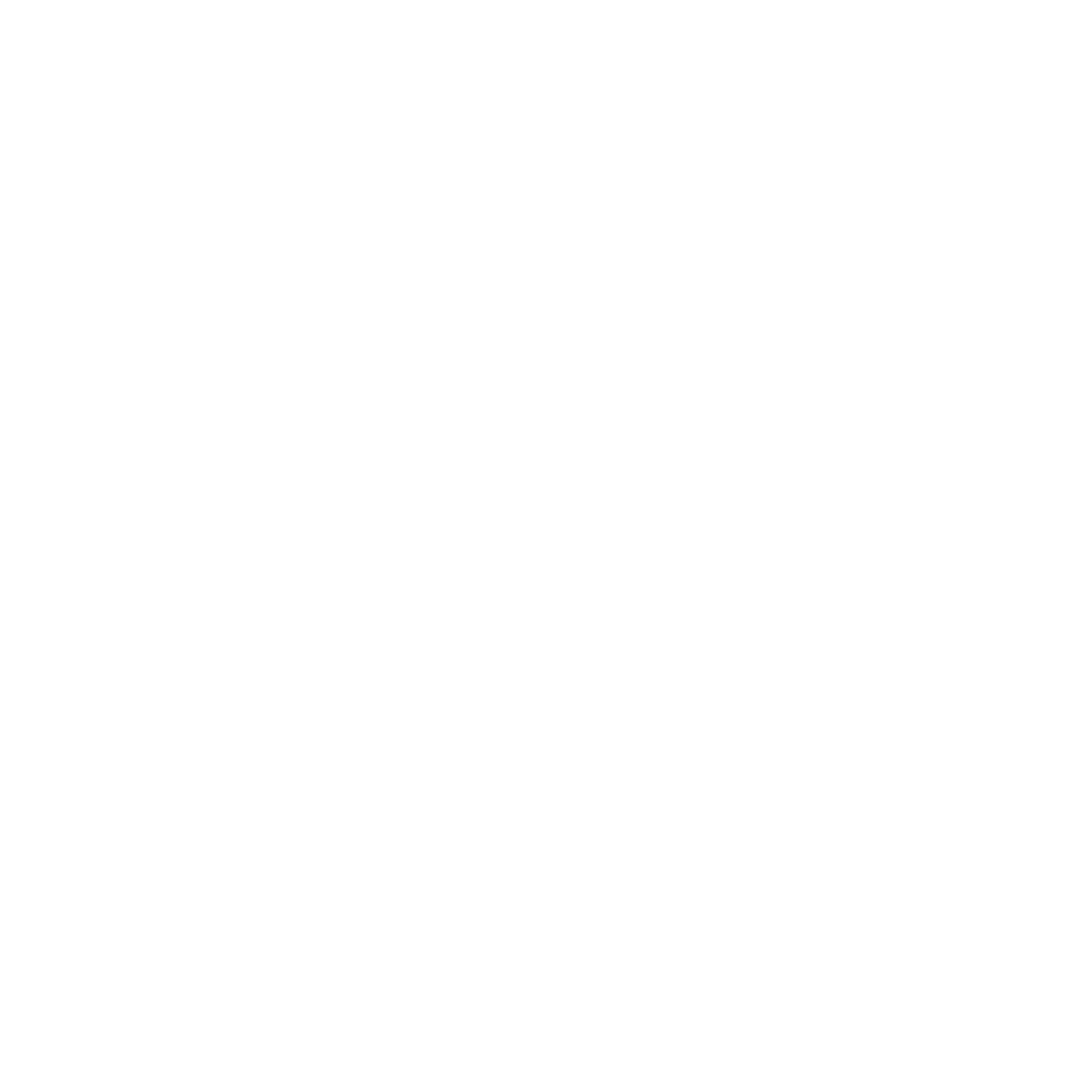 Fenomen Türk